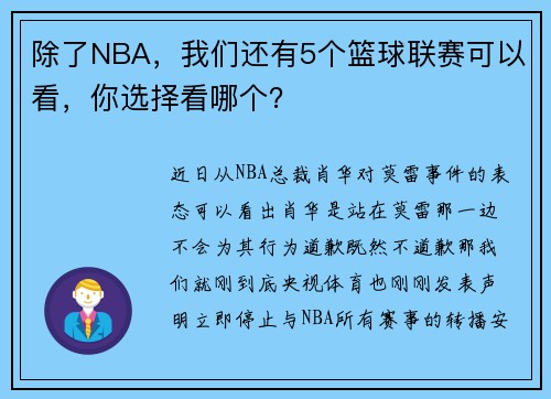除了NBA，我们还有5个篮球联赛可以看，你选择看哪个？